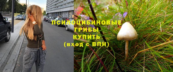 каннабис Баксан