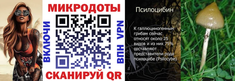 наркота  ОМГ ОМГ ссылки  Псилоцибиновые грибы GOLDEN TEACHER  Нефтекумск 